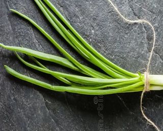Цибуля зелена (10г)