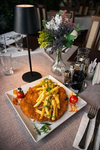 SNITEL PUI CU CARTOFI PAI