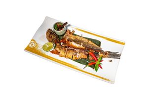 Pla tod (Orata croccante )