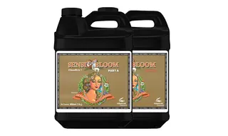 PH Perfect Sensi coco Bloom part A&B 500 მლ