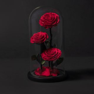 3 Rosa bella y bestia 35 cm h