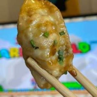 Gyozas Fritas de Verduras