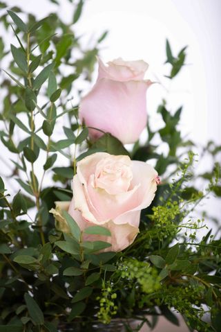 Ramo 12 Rosas Color Rosa