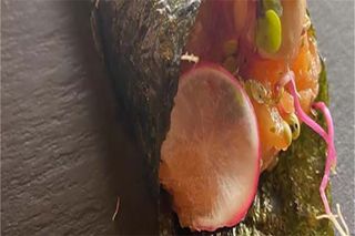 TM4. Temaki spicy salmone