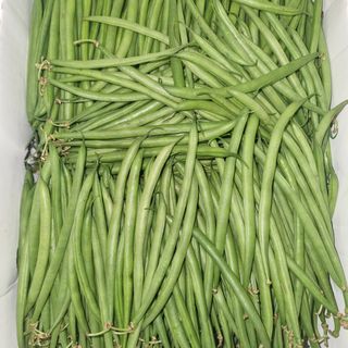 Fagiolini extra fini 500 g