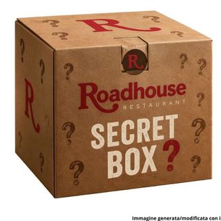 SECRET FRY BOX XL