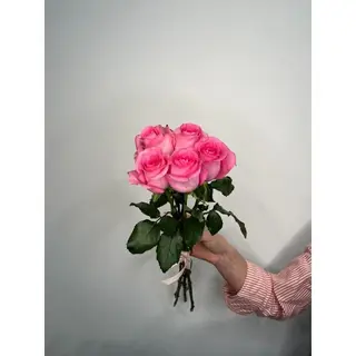 Różowa Róża 50 cm, 5 szt