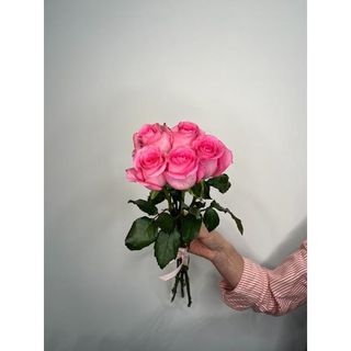 Różowa Róża 50 cm, 5 szt