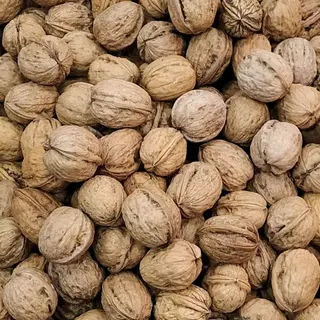 Nueces Nacional Con Cáscara 500 Kg