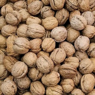 Nueces Nacional Con Cáscara 500 Kg