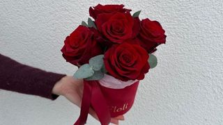 Flowerbox Czerwona Róża - 5 szt