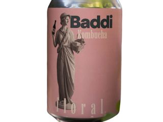 Kombucha Baddi