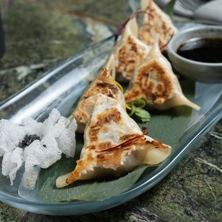 Гьоза с патица