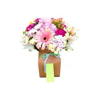 Fresh Summer - Caixa de Água