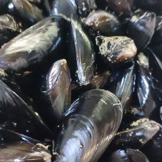 Cozze impepata