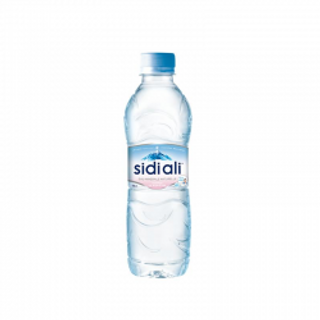 EAU MINERALE 1/2 L 