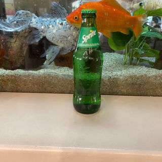 Sprite vetro 33cl