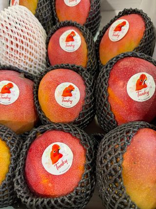 Mango via aerea 1 pezzo