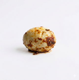 Egg