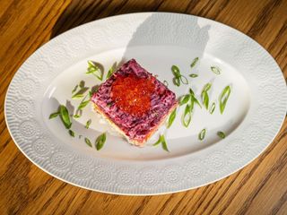 ОСЕЛЕДЕЦЬ ПІД ШУБОЮ