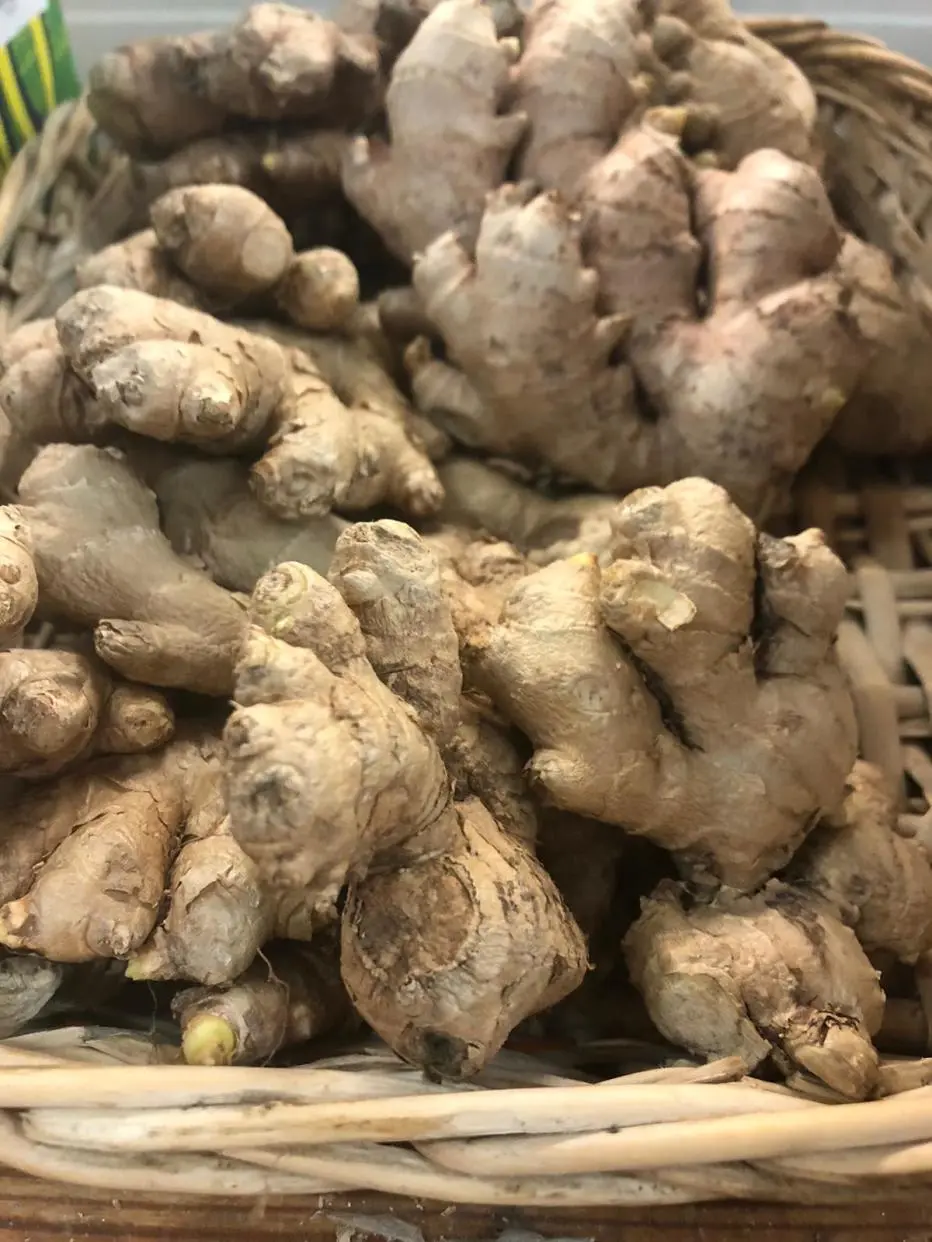 Frutta e verdura