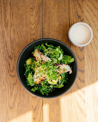 ზღვის წყალმცენარეები და გველთევზა / SEAWEED AND EEL