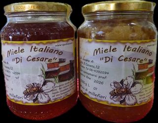 Miele millefiori liquido e grezzo 1 kg