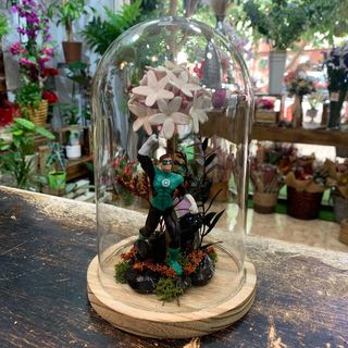 Cúpula con Biznaga y SúperHéroe "Anillo"