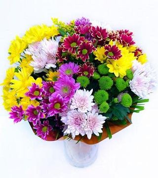 Ramo de Margaritas