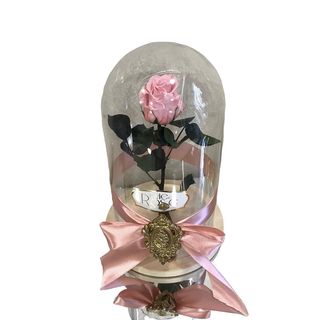 Trandafir criogenat in cupola