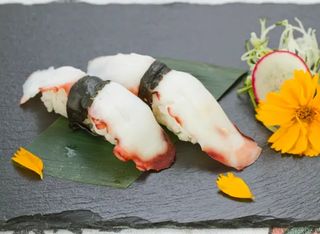 Tako nigiri