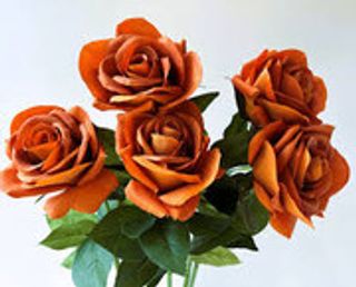 5 ROSE ARANCIO