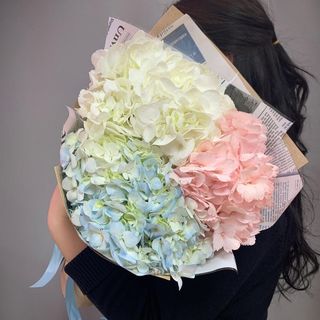 Букет із 3 гортензій мікс