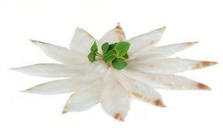 107. Carpaccio di branzino