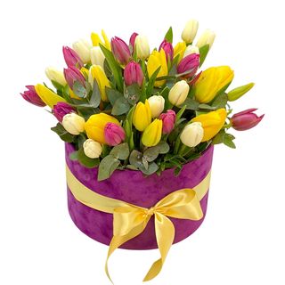 41 Lalele in cutie catifea