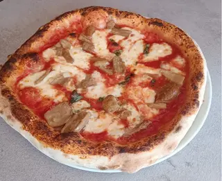Porcini