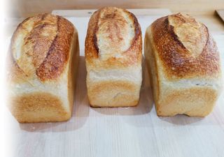 Pâine Semola - cu maia.