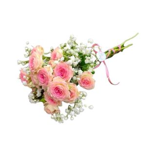 Rosas Ramificadas Cor-de-Rosa - Santa Terezinha