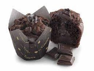 Tulipe Chocolate Extrem