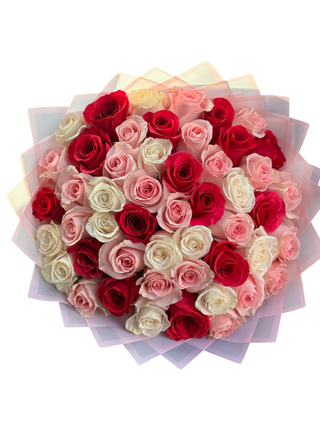 Passenger Princess - Special