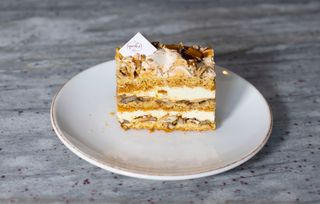 თეთრი დათვი