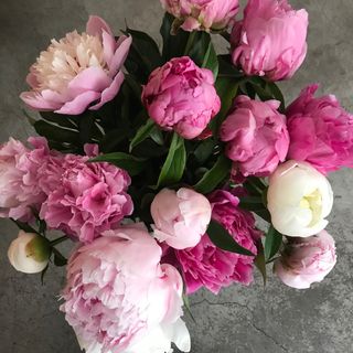 Arrumaco de 3 peonía