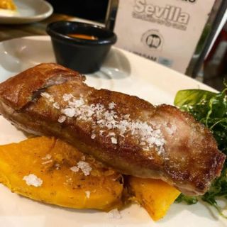 Pluma Ibérica