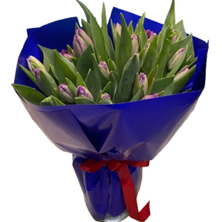 Bukiet tulipanów <<S<<