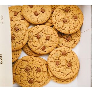 Chocolate Chip Cookie