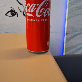 Coca-Cola Lattina 330 ml