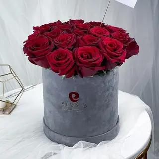 Spécial boite