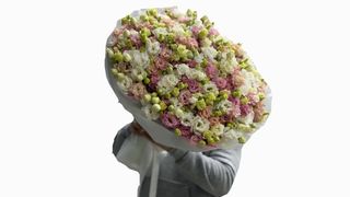 Eustoma Dream