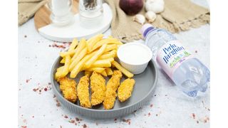 Chicken fingers,apa plata