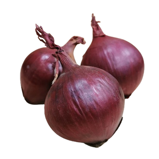Cebula czerwona 500g